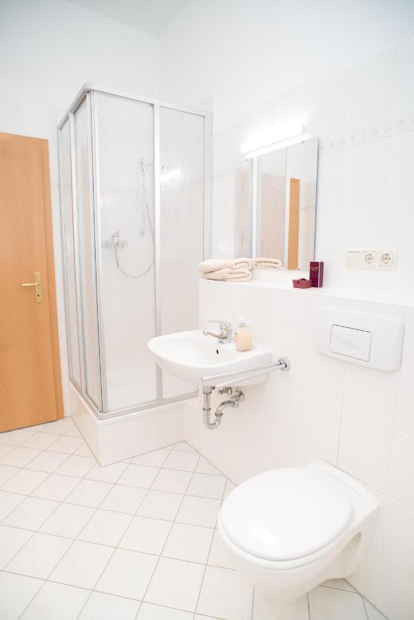 Stilvolle 1-Raum-Wohnung Zentral, Ruhig Gelegen Dresden Luaran gambar